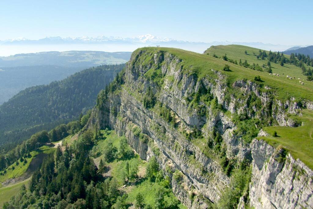 Beau Duplex, Au Bord Du Saint-point *